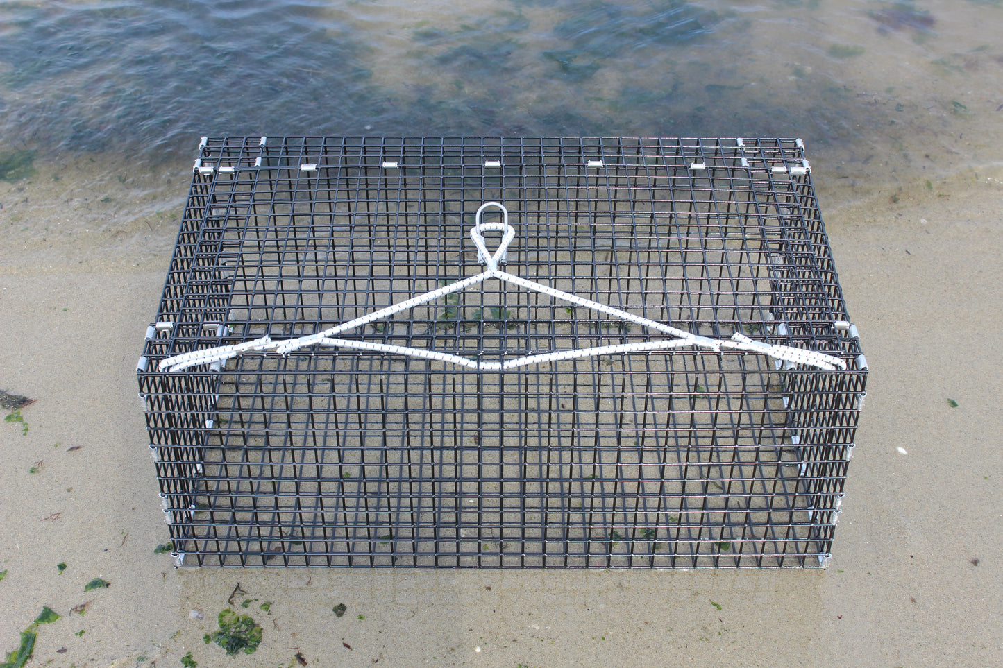 Lobster Holding Cage / Keeper Car
