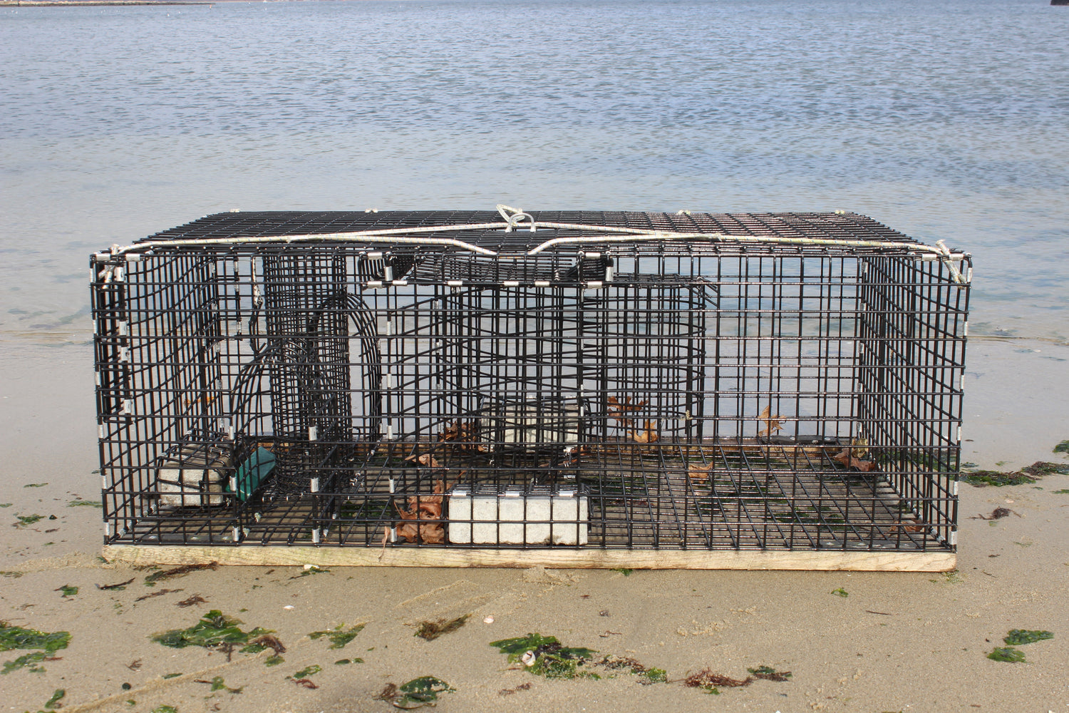 Fish Traps