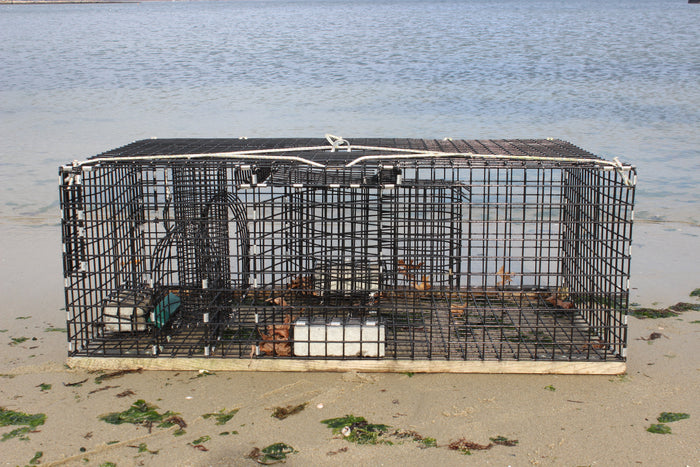 Fish Traps