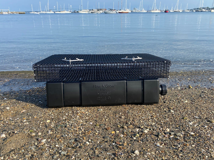 Recreational Shellfish Aquaculture