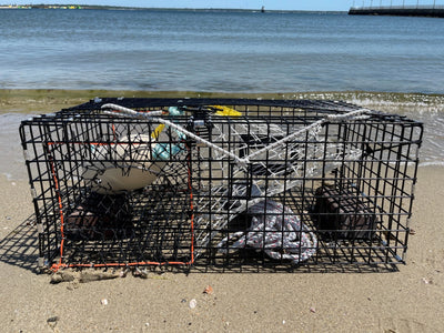 Recreational Traps