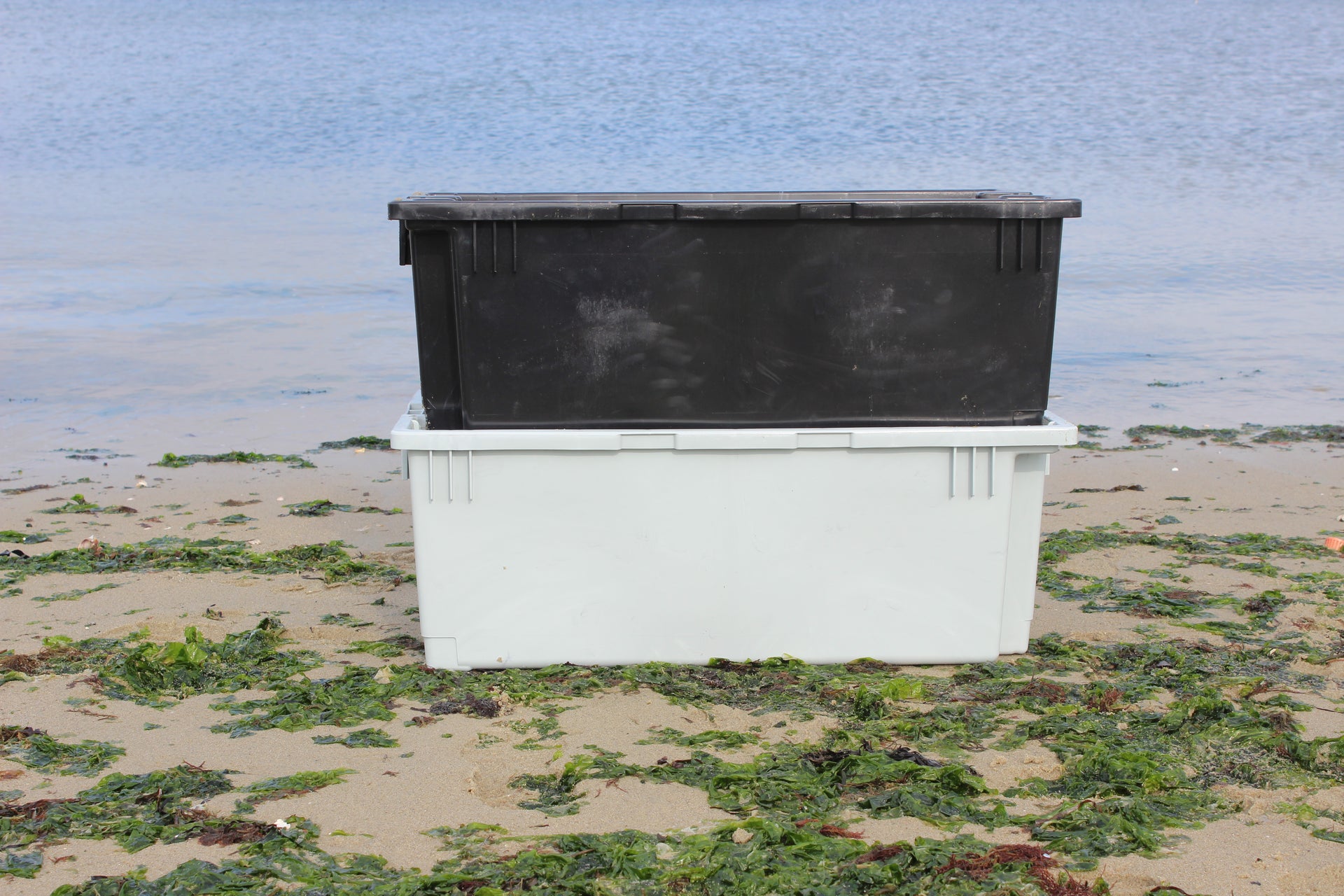commercial fish box Fish Totes