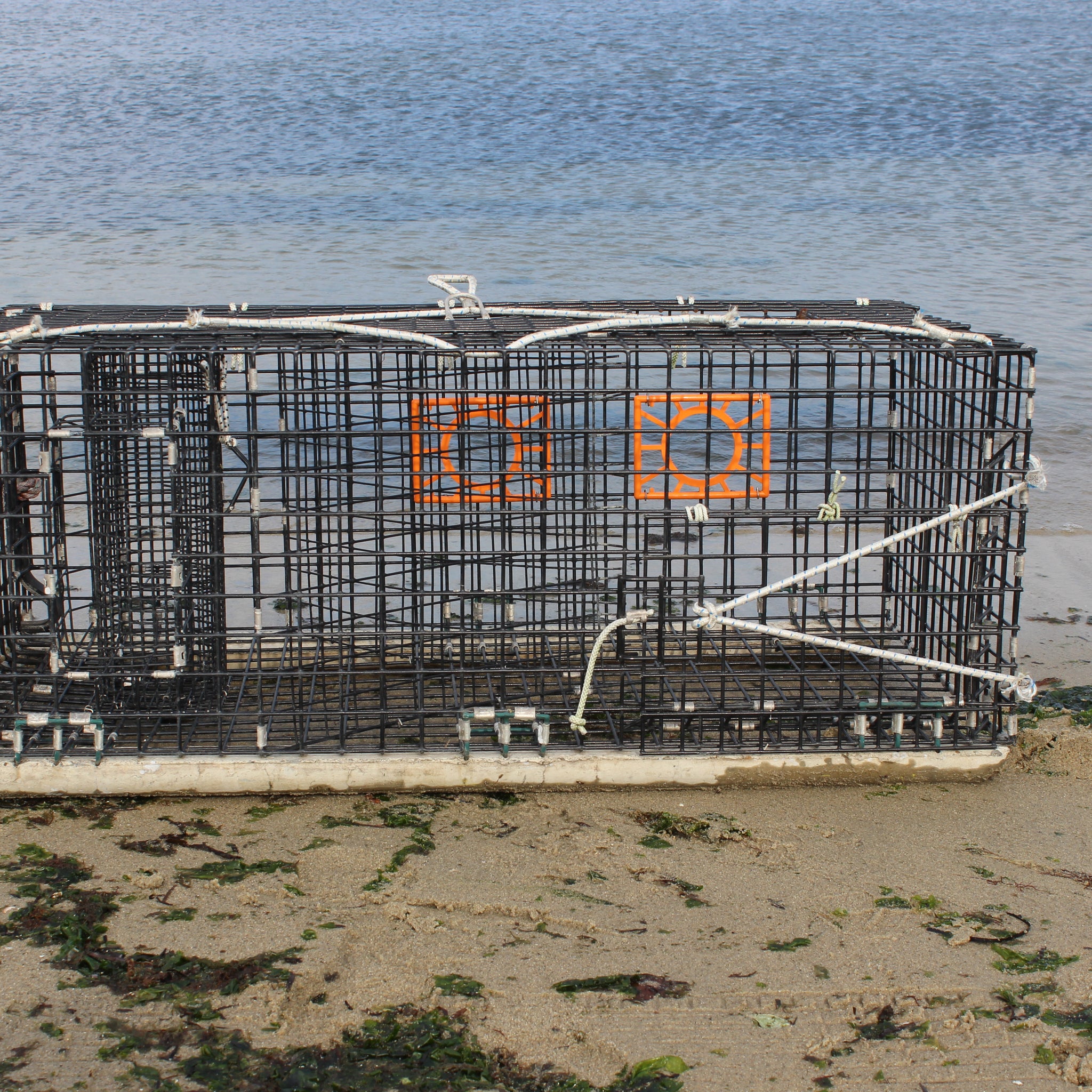 Scup Trap - Lobster Trap Style