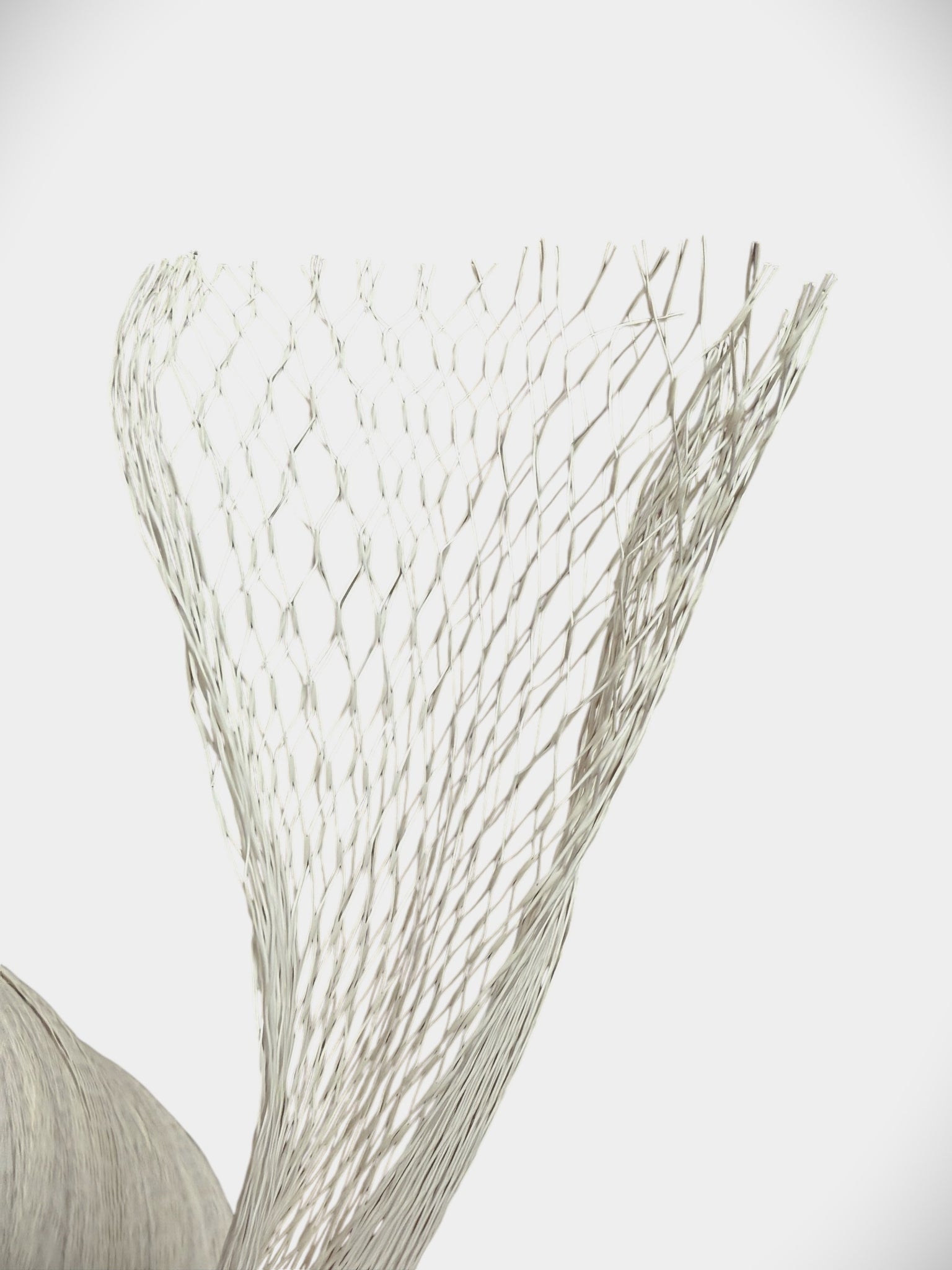 bio degradable fishing nets Biodegradable Tubular Netting for Reef Restoration