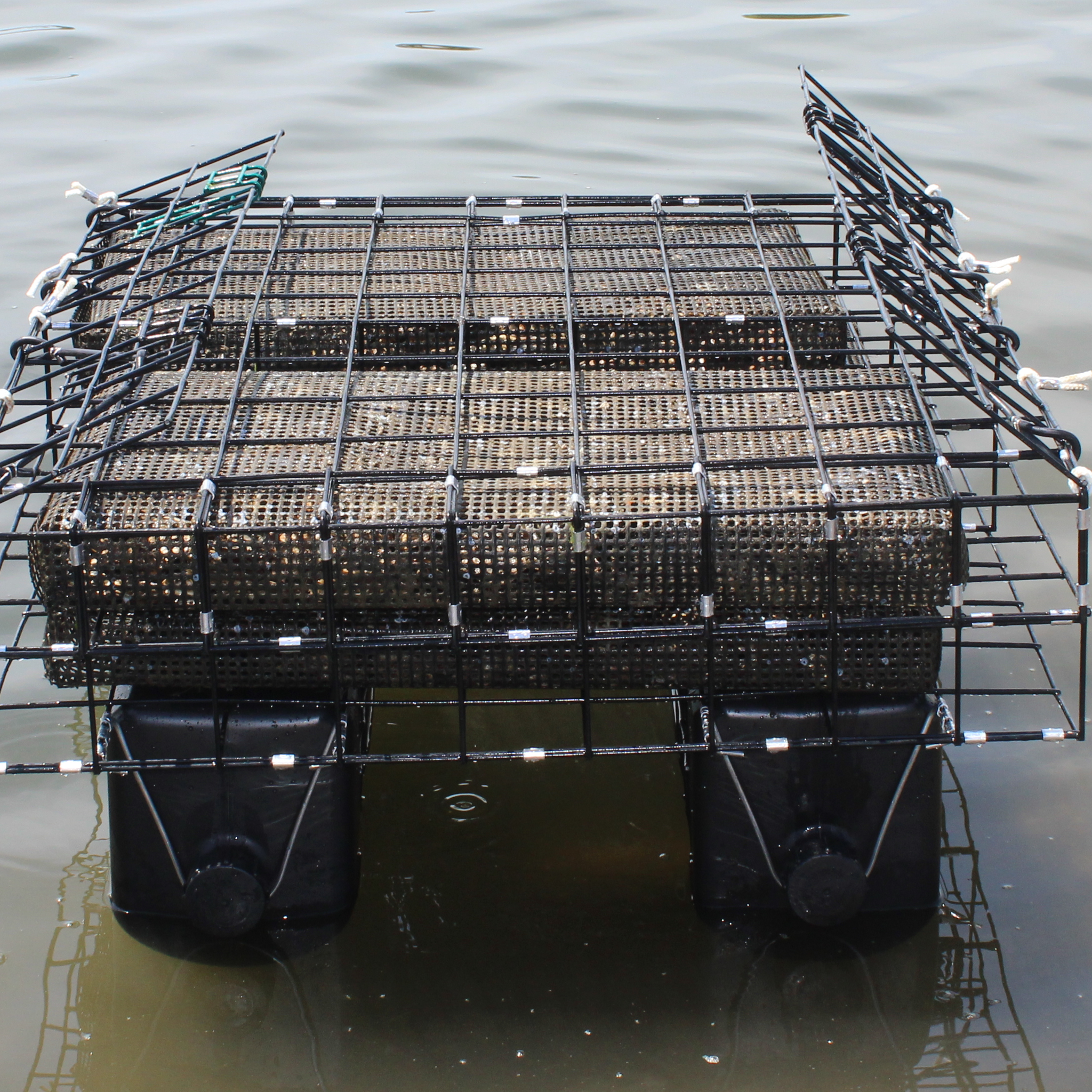 Flow N Grow™ 4 Bay Floating Cage