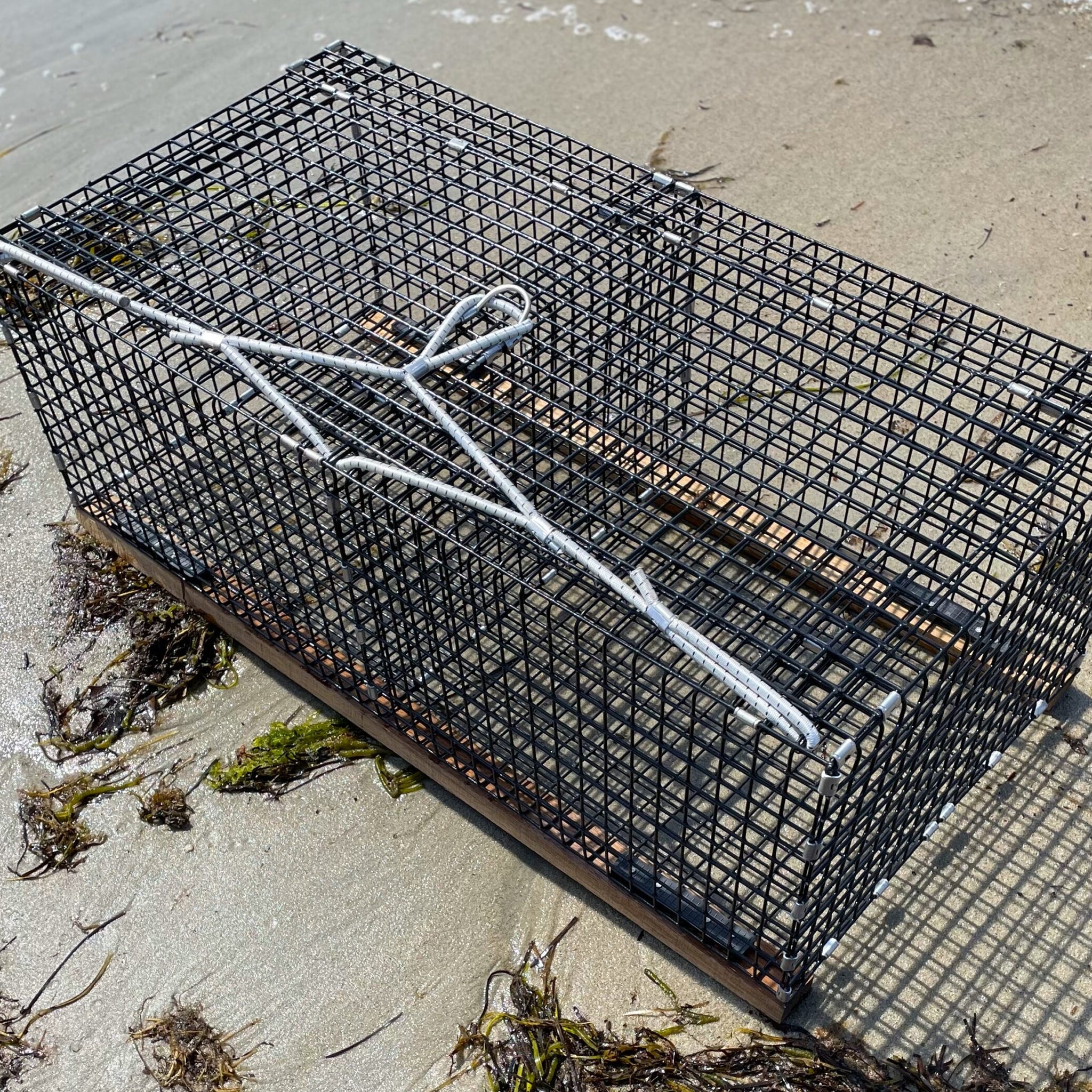 Lobster Holding Cage / Keeper Car