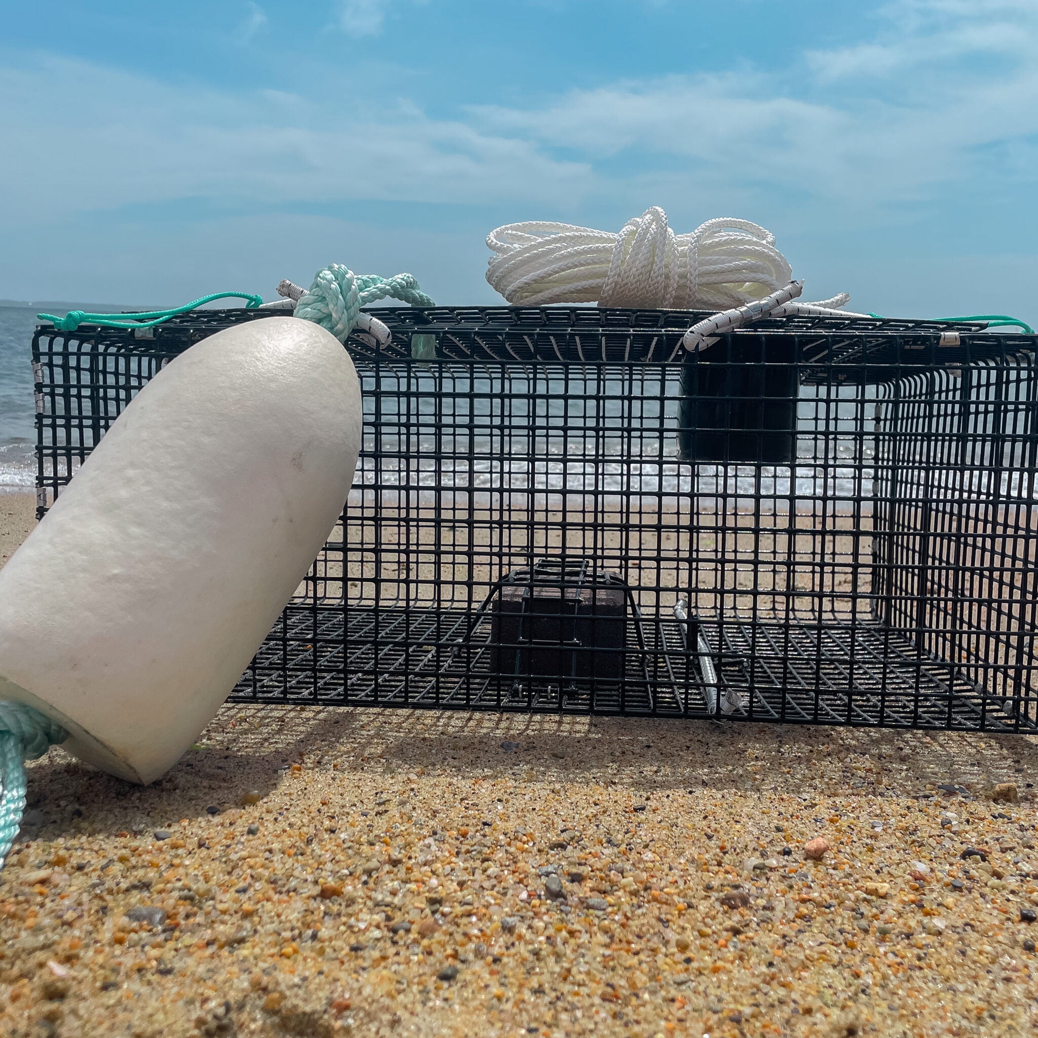 Large Green Crab Trap