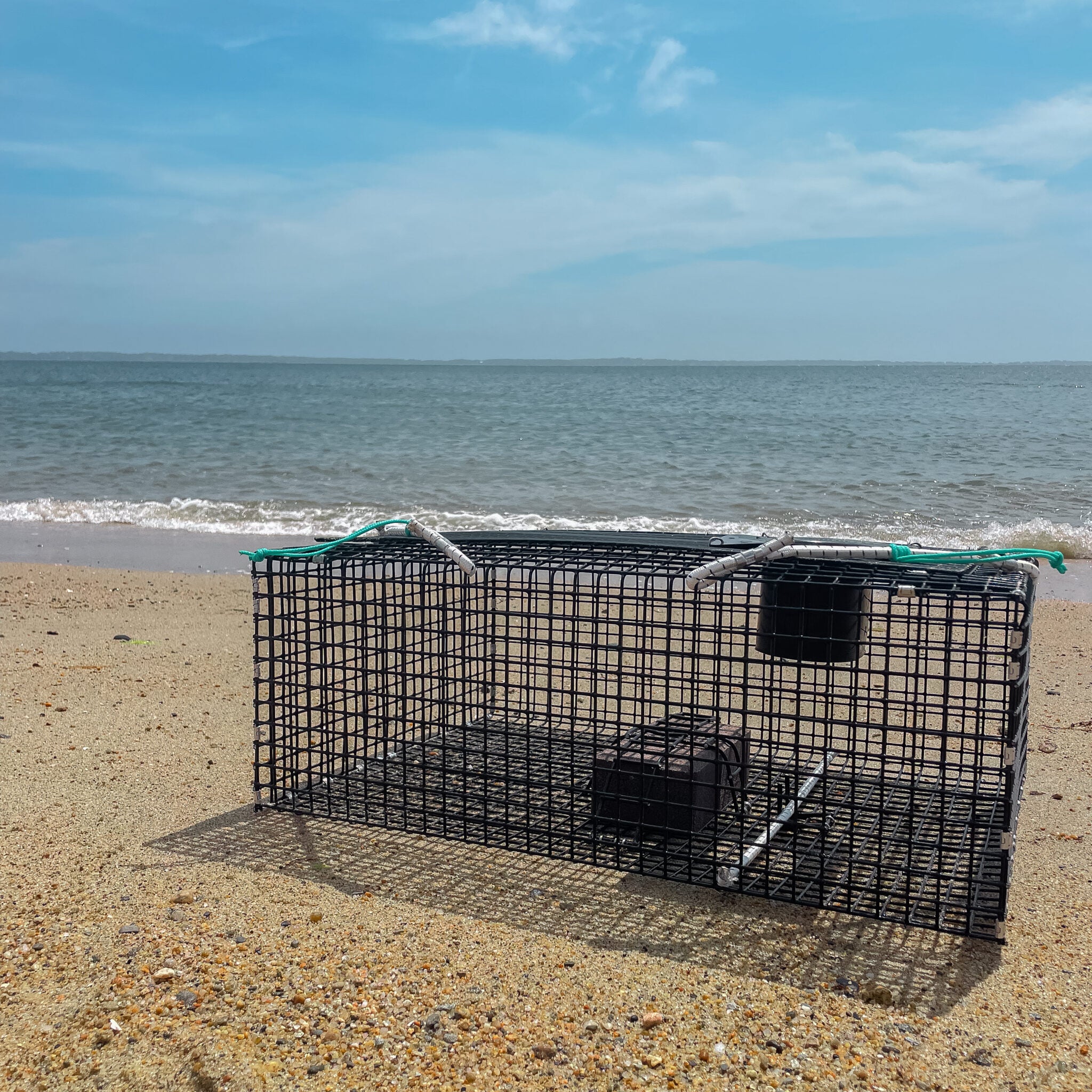 Large Green Crab Trap