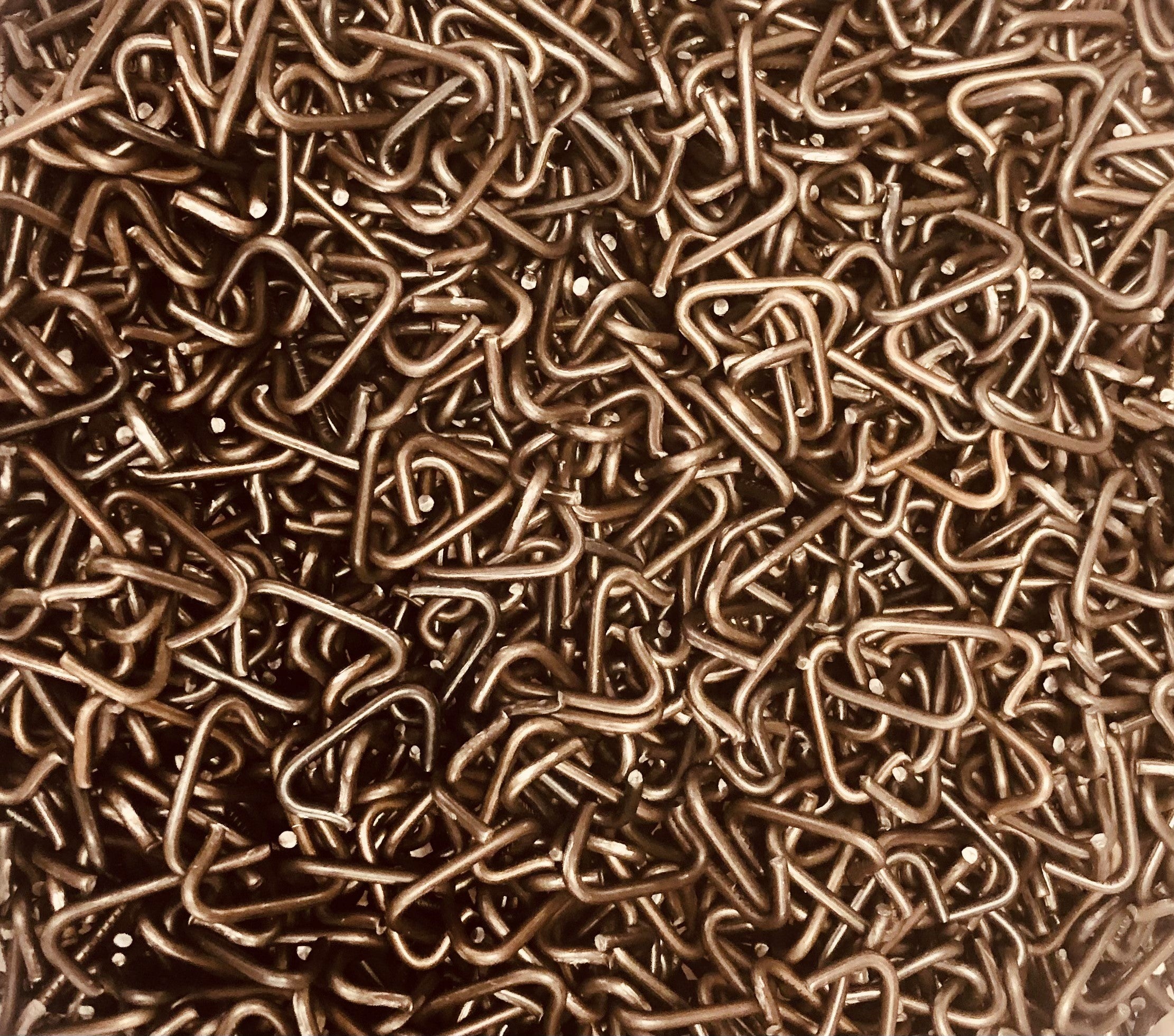 Biodegradable Rings 3/4