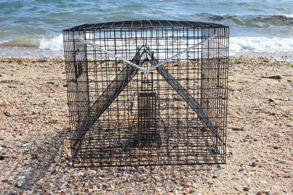 Blue Crab Trap – Ketcham Supply