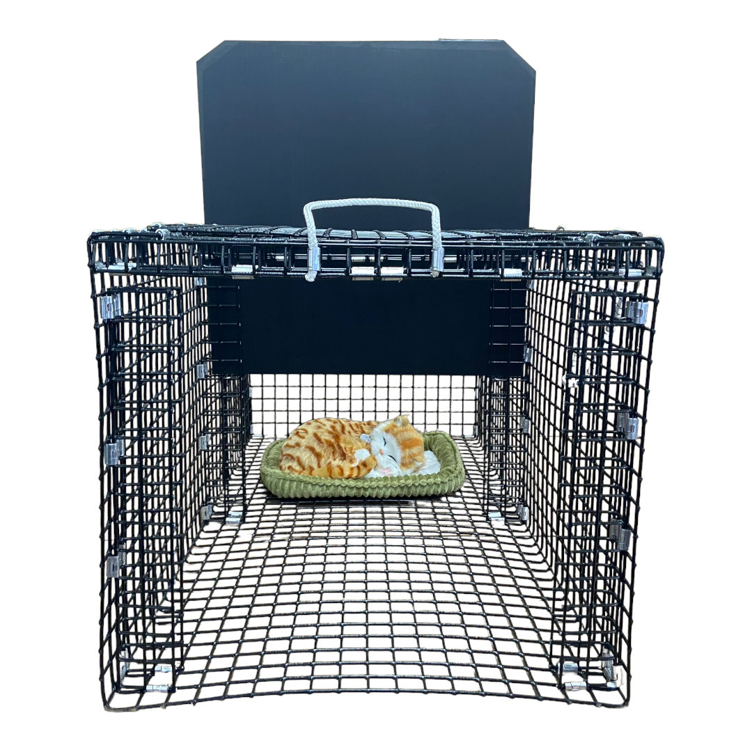 Cat Cages for TNR Transfer