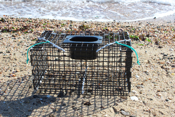 Small Green Crab Trap – Ketcham Supply