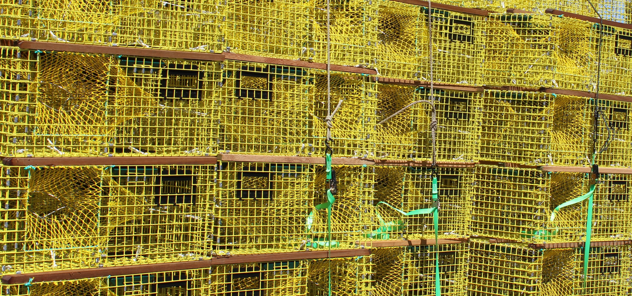 Lobster Traps