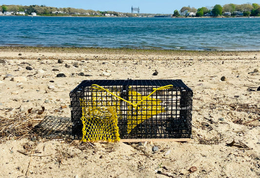 Decorative Mini Lobster Trap