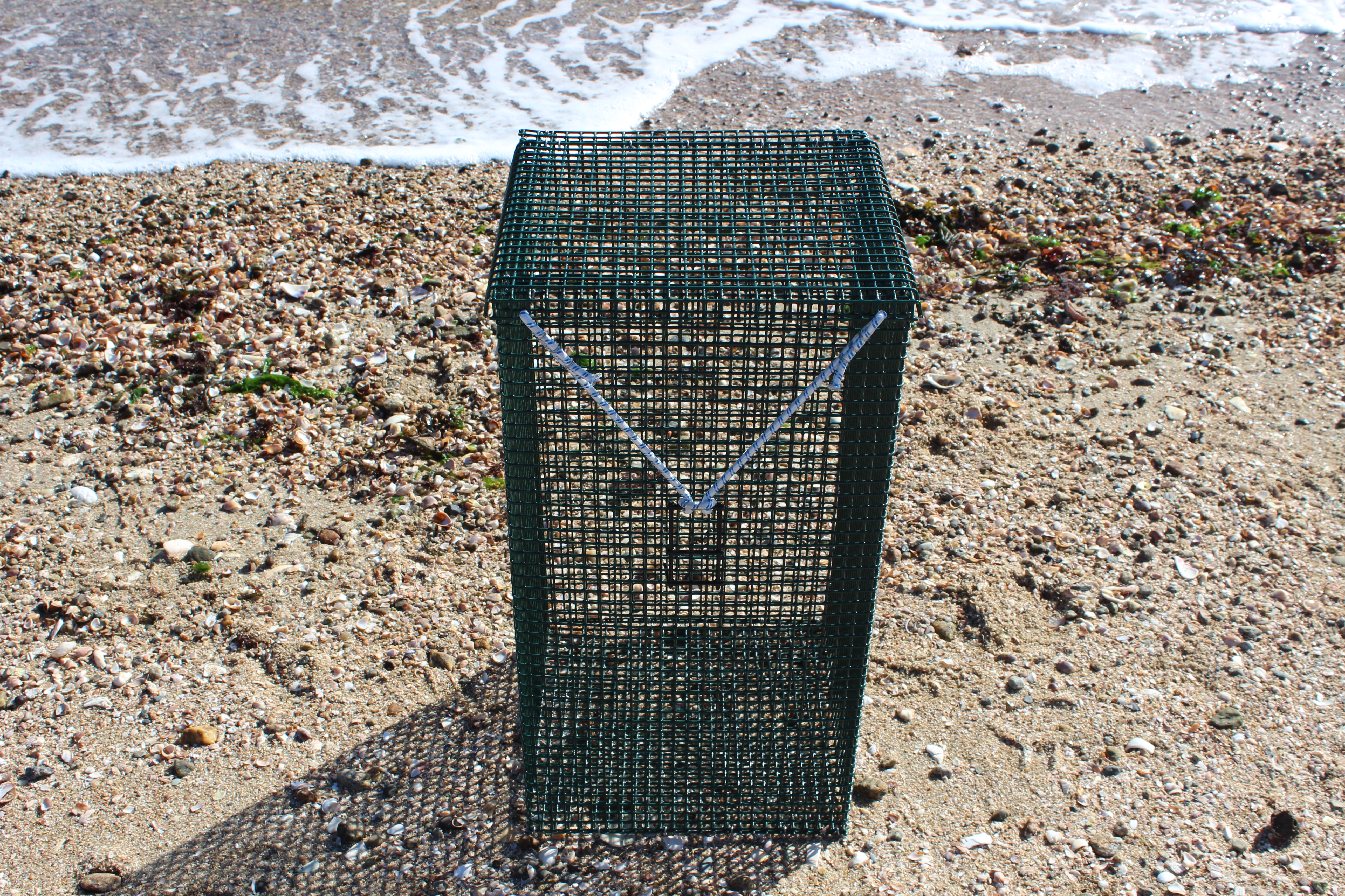 Eel or Crab Holding Cage – Ketcham Supply Co