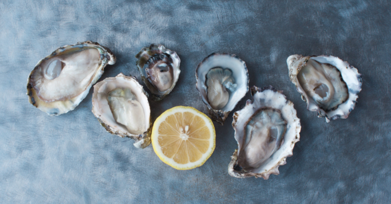 Image showing various types of oysters in Washington state.