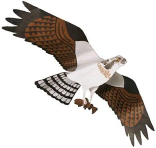 Eagle, Osprey or Falcon Bird Kite Kit - Image 3